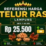 img-20260717-wa0002