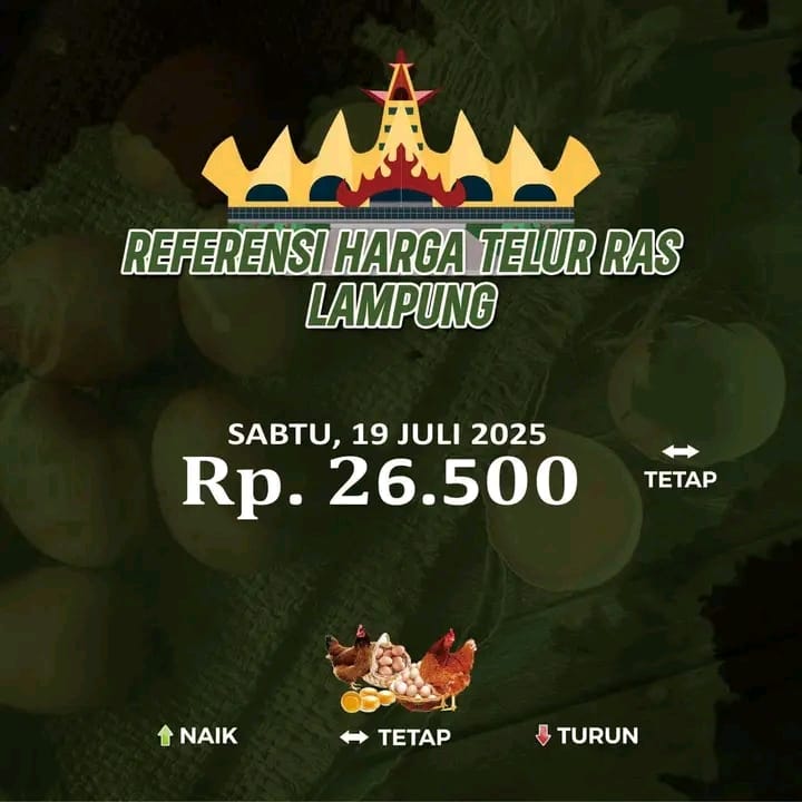 IMG-20250719-WA0005